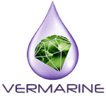 Vermarine®, Asset Integrity Management software for Renewable Energies